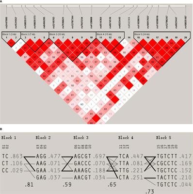 LGR4 Gene Polymorphisms Are Associated With Bone and Obesity Phenotypes in Chinese Female Nuclear Families